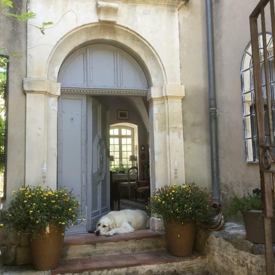 Le Petit Figuier Bed and Breakfast La Roque-d'Antheron Eksteriør billede