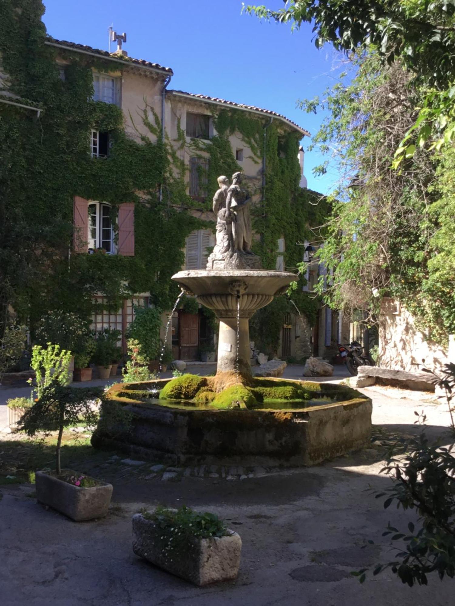 Le Petit Figuier Bed and Breakfast La Roque-d'Antheron Eksteriør billede
